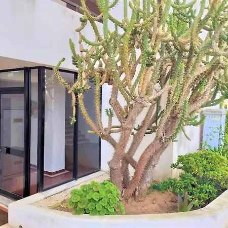 Apartment Magalie Sea View *